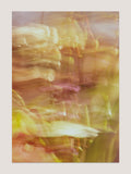 Flowers in the wind by Sofi Hansen — Digital Download