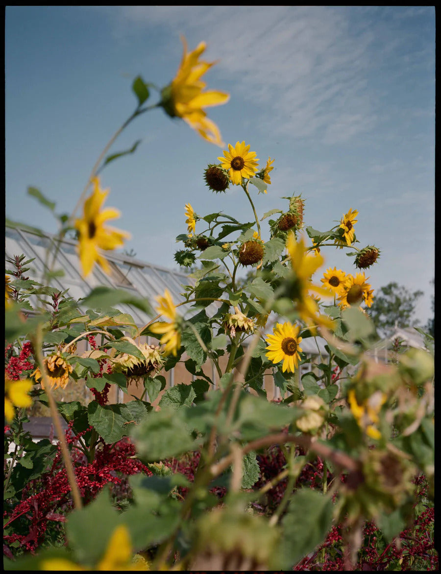 A Magazine curated by Cecilie Bahnsen